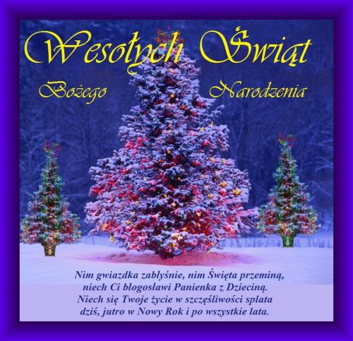 Kartka Szcz�liwych �wi�t i udanego Nowego Roku!