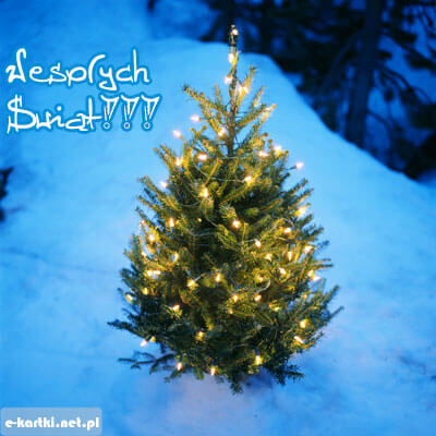 Kartka Weso�ych �wi�t