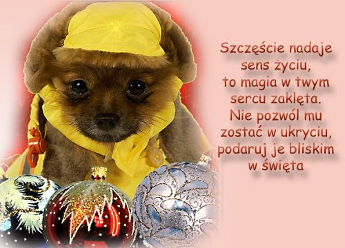 Kartka �wi�teczny podarunek