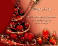 Magia �wi�t