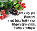 Niech te �wi�ta Bo�ego Narodzenia...