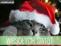 Weso�ych �wi�t