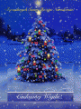 🎄Cudownej Wigilii i Wspania�ych �wi�t!