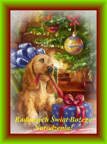 Kartka Radosnych �wi�t Bo�ego Narodzenia!