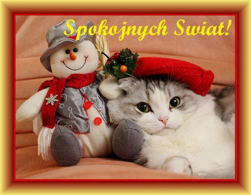 Kartka Spokojnych �wi�t!