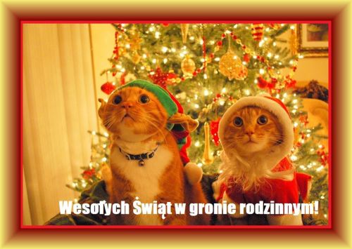 Kartka Weso�ych �wi�t w gronie rodzinnym!