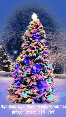 Kartka 🎄Cudownych �wi�t !