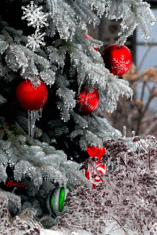 Kartka Pi�knych rodzinnych �wi�t!