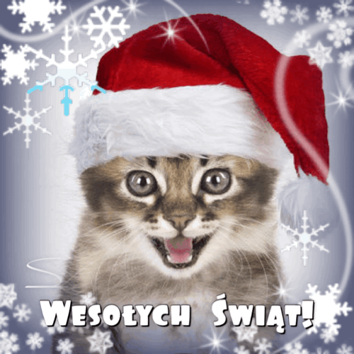 Kartka 🎅🏻 Weso�ych �wi�t!