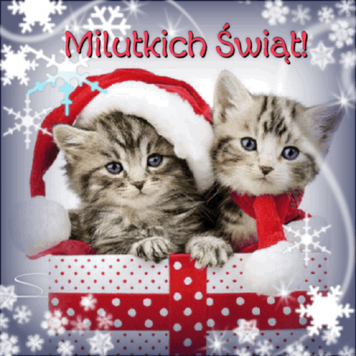 Kartka ❄Milutkich �wi�t!