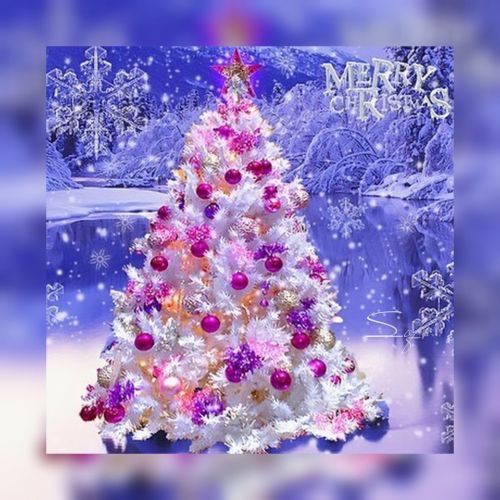 Kartka ❄Merry Christmas