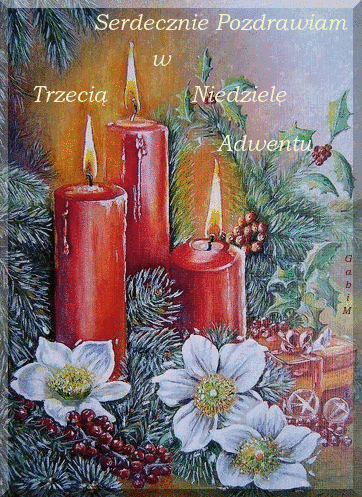 Trzy czerwone �wiece adwentowe, ga��zki �wierku, bia�e kwiaty, czerwone owoce i napis Trzeci� Niedziel� Adwentu