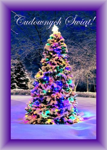 Kartka Cudownych �wi�t przy blasku choinki!