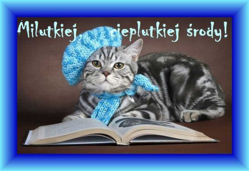 Kartka Milutkiej, cieplutkiej �rody! 