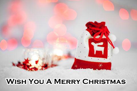 Kartka Wish You A Merry Christmas