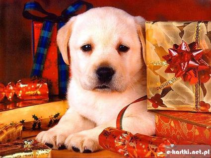 Kartka U�miechu z okazji Bo�ego Narodzenia