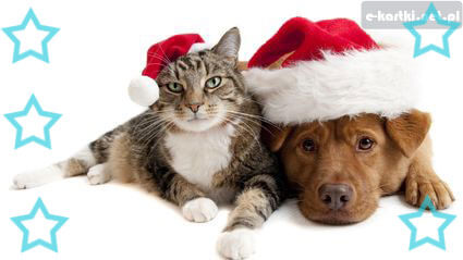 Kartka Weso�ych �wi�t!!