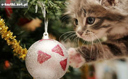 Kartka Udanych �wi�t!!!