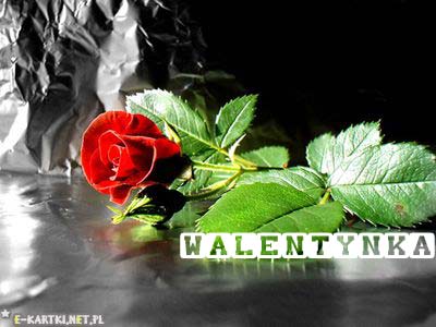 Czerwona r�a z zielonymi li��mi na b�yszcz�cym, srebrnym tle z napisem Walentynka