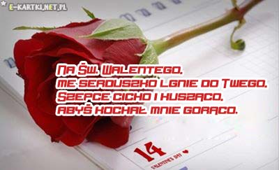 Czerwona r�a le��ca na kalendarzu z walentynkowym wierszem na 14 lutego
