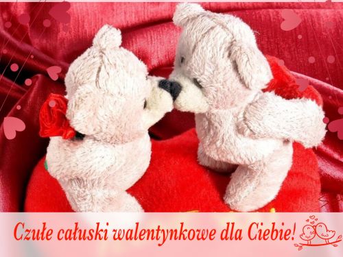 Dwa pluszowe misie ca�uj� si� na czerwonym tle z napisem Czu�e ca�uski walentynkowe dla Ciebie