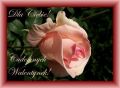 Najpiękniejsza róża, najpiękniejszej Walentynce!