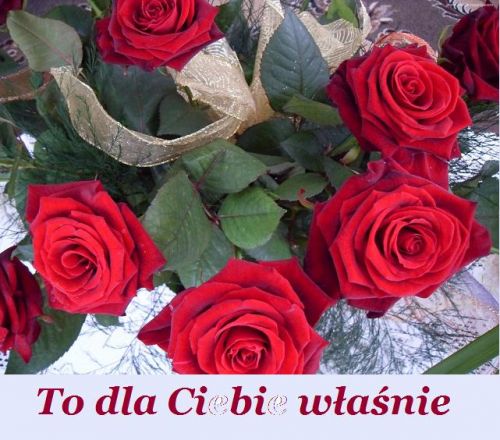 Bukiet czerwonych r� z zielonymi li��mi, z�ot� wst��k� i napisem To dla Ciebie w�a�nie