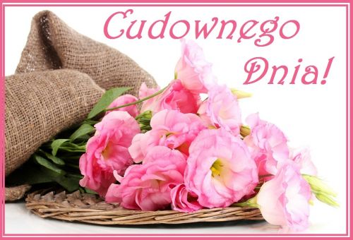 Różowe eustomy na wiklinowej podstawce z jutowym materiałem i napisem Cudownego Dnia