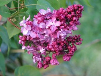 Kartka Bez: dobro�