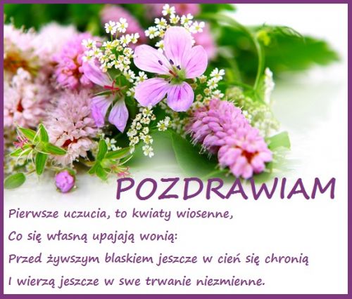 Bukiet różowych kwiatów z napisem Pozdrawiam oraz wierszem na białym tle w fioletowej ramce