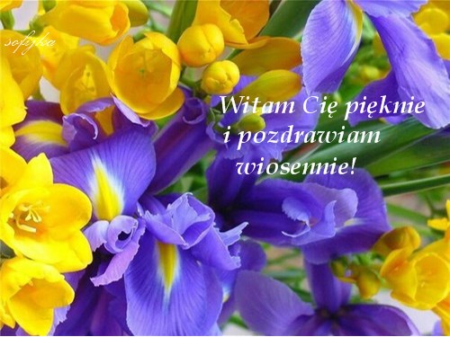 Bukiet ��tych frezji i fioletowych irys�w z napisem Witam Ci� pi�knie i pozdrawiam wiosennie