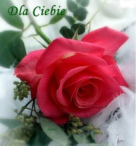 Kartka Tylko dla Ciebie