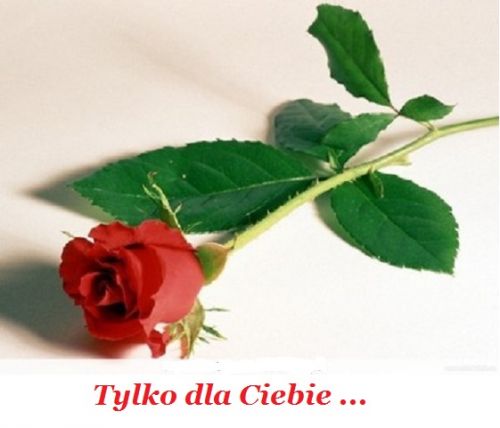 Kartka Dla pi�knej kobiety