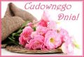 Przyjmij te kwiaty i życzenia cudownego dnia