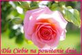 Dla Ciebie na powitanie dnia...
