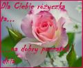 Dla Ciebie różyczka ta...