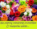 Na piękną niedzielę, przesyłam Ci kwiatów wiele...