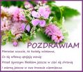 Pozdrawiam, kwiaty dla Ciebie zostawiam
