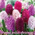 Poczuj zapach wiosny!