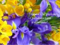 Witam Ci� pi�knie i pozdrawiam wiosennie!