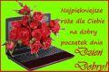 Bukiet róż na dzień dobry dla Ciebie