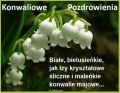Przyjmij konwaliowe pozdrowienia...