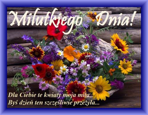 Bukiety polnych kwiatów w wiklinowym koszu na tle drewnianych desek z napisem Milutkiego Dnia
