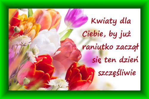 Kolorowy bukiet tulipanów w ramce z napisem Kwiaty dla Ciebie by już raniutko