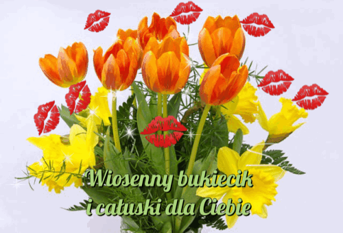 Bukiet wiosennych tulipanów i żonkili z czerwonymi śladami ust oraz napisem Wiosenny bukiecik i całuski dla Ciebie