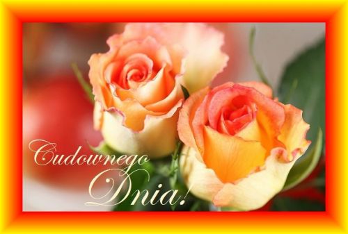 Dwie �ososiowe r�e w ��to-czerwonej ramce z napisem Cudownego Dnia