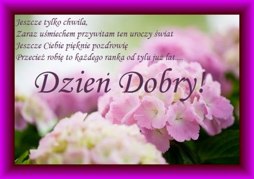 R�owe kwiaty hortensji z napisem Dzie� Dobry w ozdobnej ramce i wierszem
