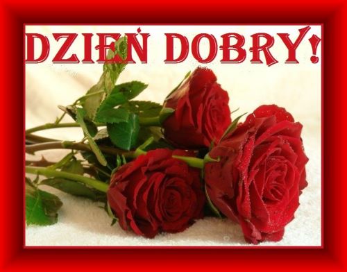 Czerwone r�e z zielonymi li��mi i napis Dzie� Dobry w ozdobnej czerwonej ramce