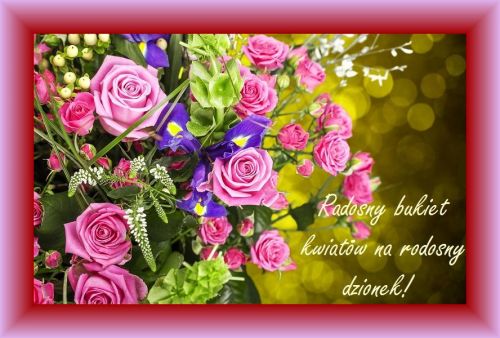 R�owe r�e, fioletowe irysy i zielone li�cie z napisem Radosny bukiet kwiat�w na radosny dzionek