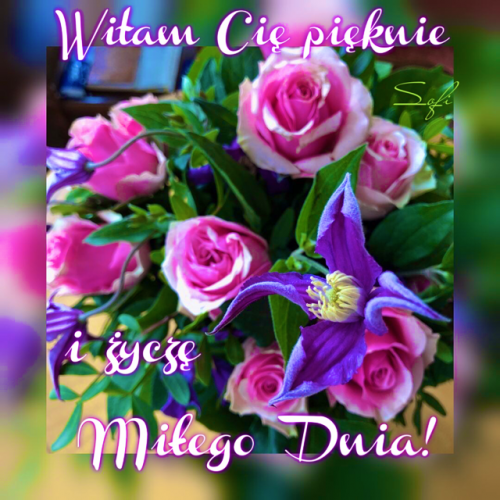 Bukiet r� i fioletowych powojnik�w z napisem Witam Ci� pi�knie i �ycz� Mi�ego Dnia
